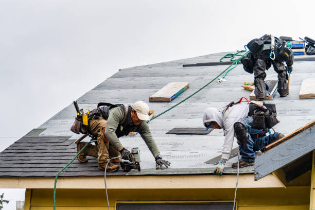 Professional Gutter Installation technician working in Woodward, IA